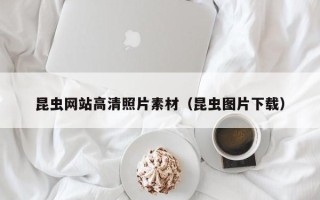 湖南昆虫网站高清照片素材（昆虫图片下载）